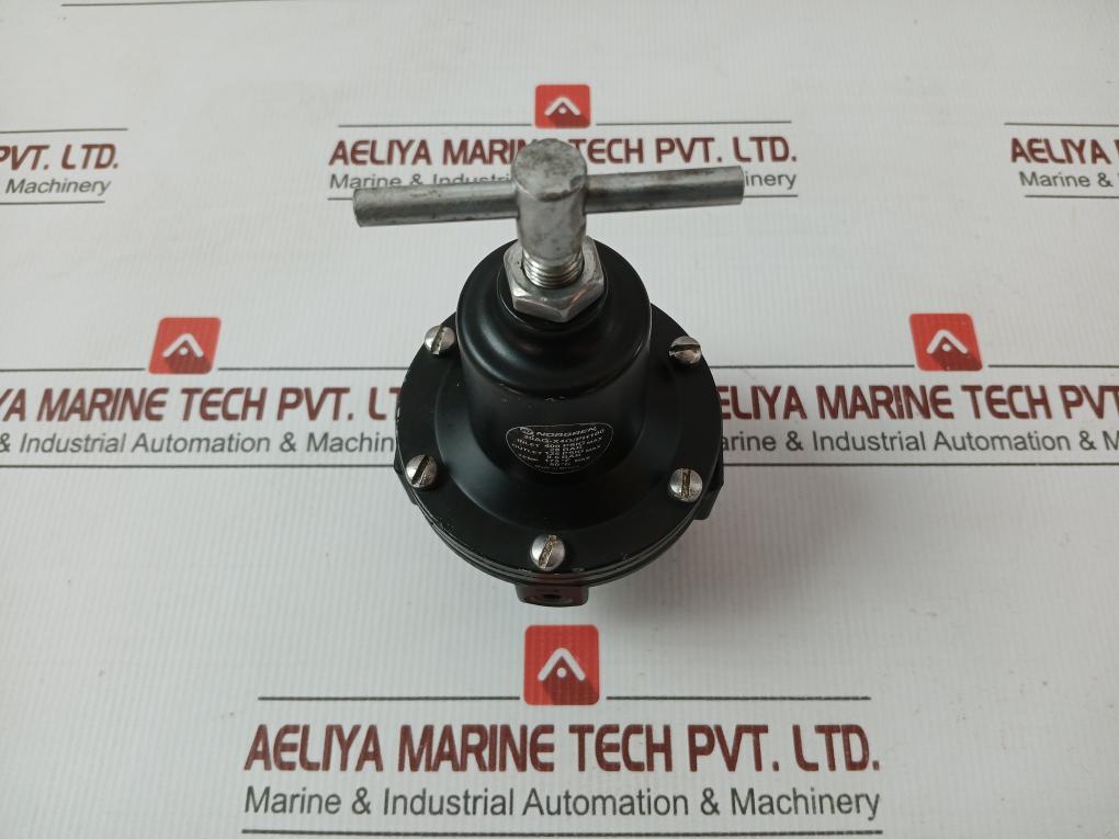 20Ag-x4G/Ph100 Norgren Air Pressure Regulator 28Bar 400Psig