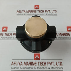 20Ag-x4G/Ph100 Norgren Air Pressure Regulator 28Bar 400Psig