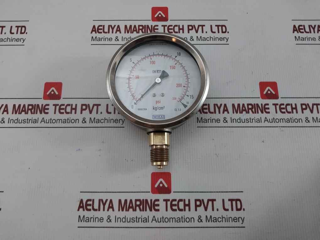 212.53.100 Pressure Gauge 0-230Psi 16Kg/Cm2 Wika