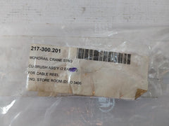 217-300.201 Monorail Crane For Carbon Brush Assembly