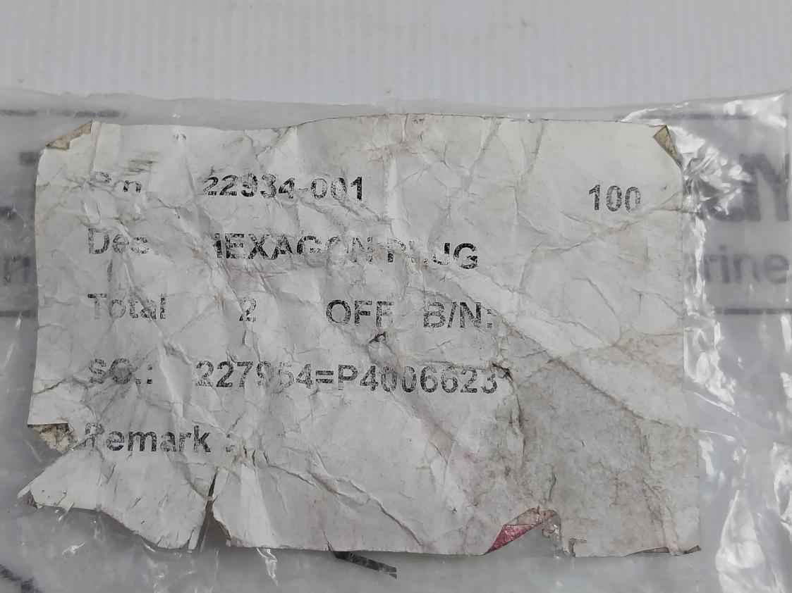 22934-001 Hexagon Plug