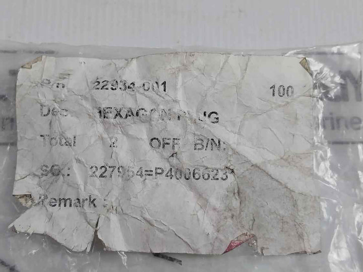 22934-001 Hexagon Plug