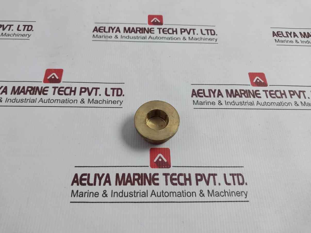 22934-001 Hexagon Plug