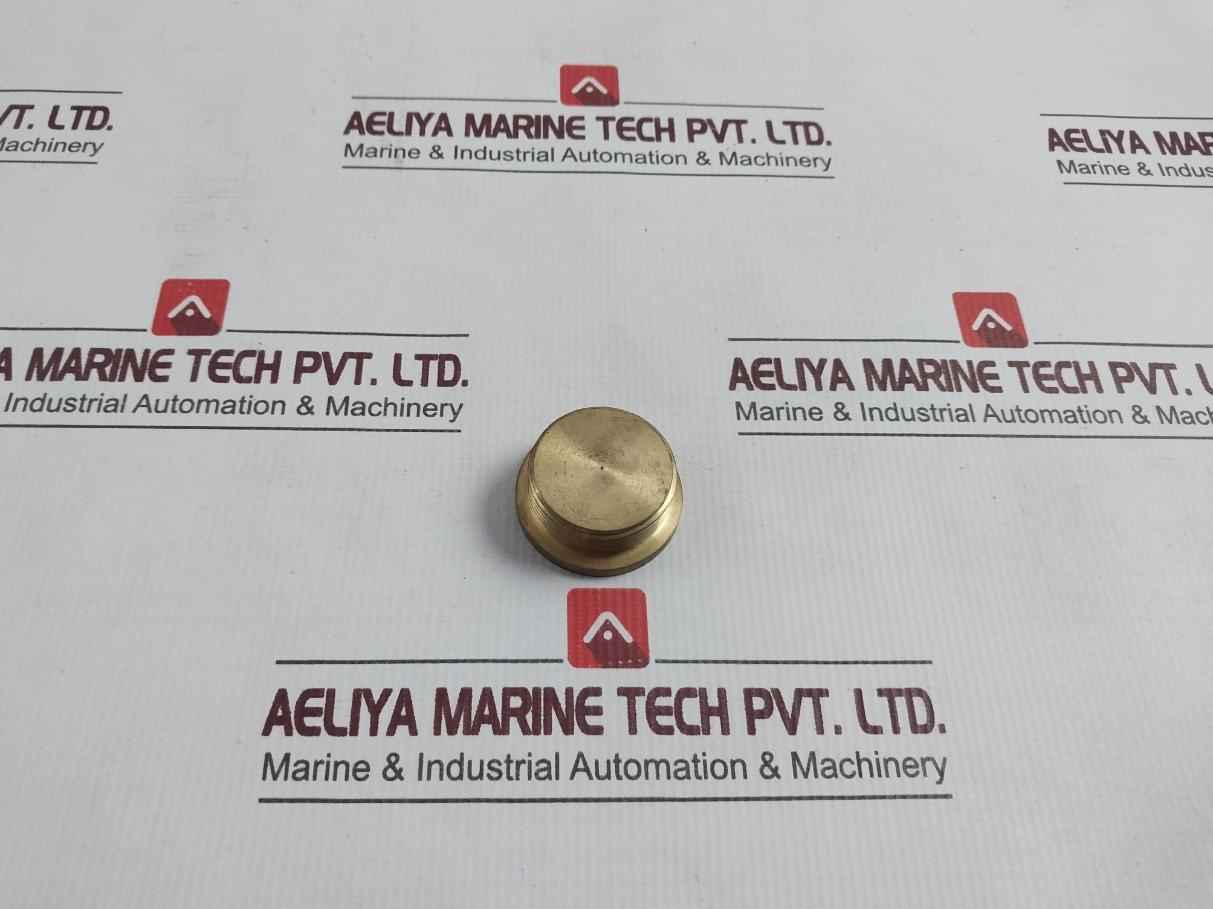 22934-001 Hexagon Plug