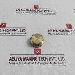 22934-001 Hexagon Plug