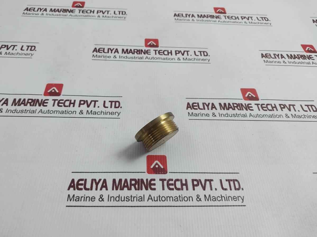 22934-001 Hexagon Plug