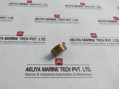 22934-001 Hexagon Plug