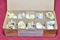 Lot of 10X BACO AUXIBLOC 23 Lamp Holder 600V AC-HD 88027/900