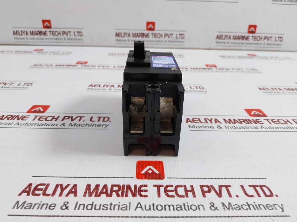 2 Poles Molded-case Circuit Breaker 660V 50/60Hz Terasaki Xs50Nb