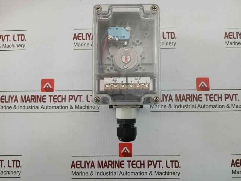 2Xmikro/M215G/M20X1,5-e Amg-pesch Limit Switch