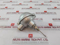 2Xpt 100 3-l Temperature Sensor