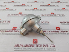 2Xpt 100 3-l Temperature Sensor