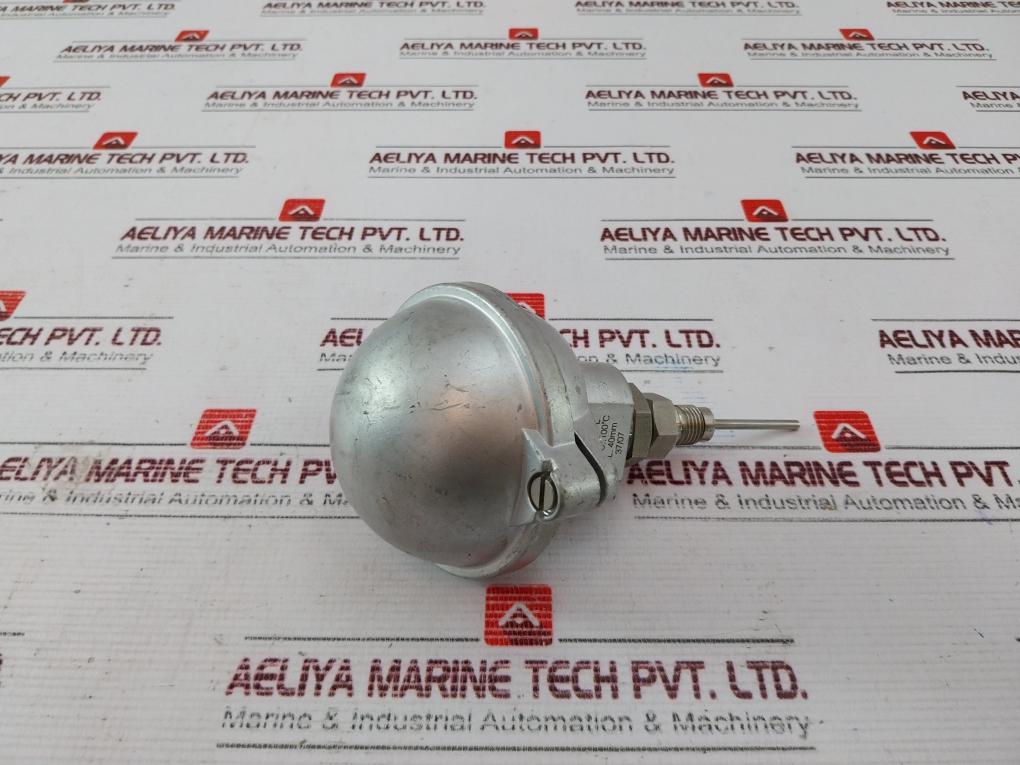 2Xpt 100 3-l Temperature Sensor