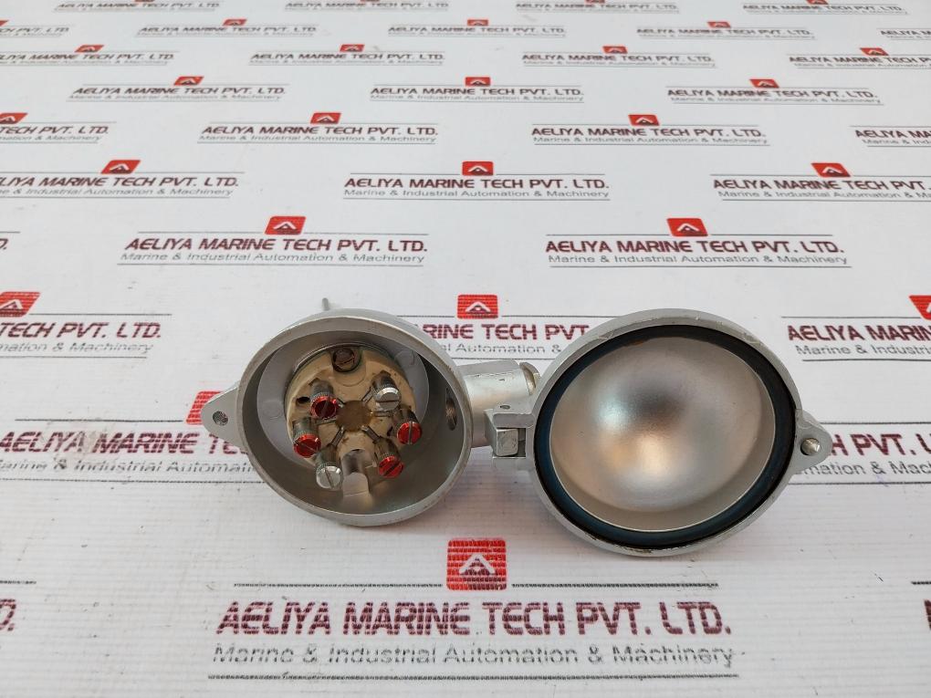 2Xpt 100 3-l Temperature Sensor