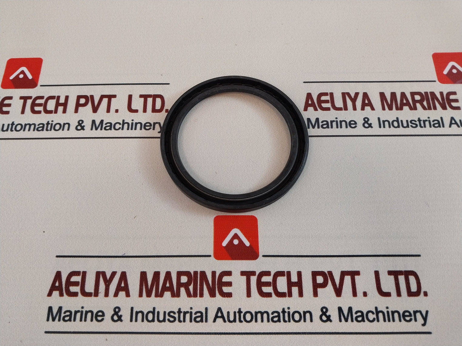 60 100 10 Seal Oil