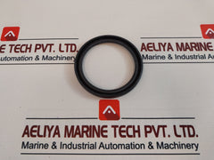 60 100 10 Seal Oil