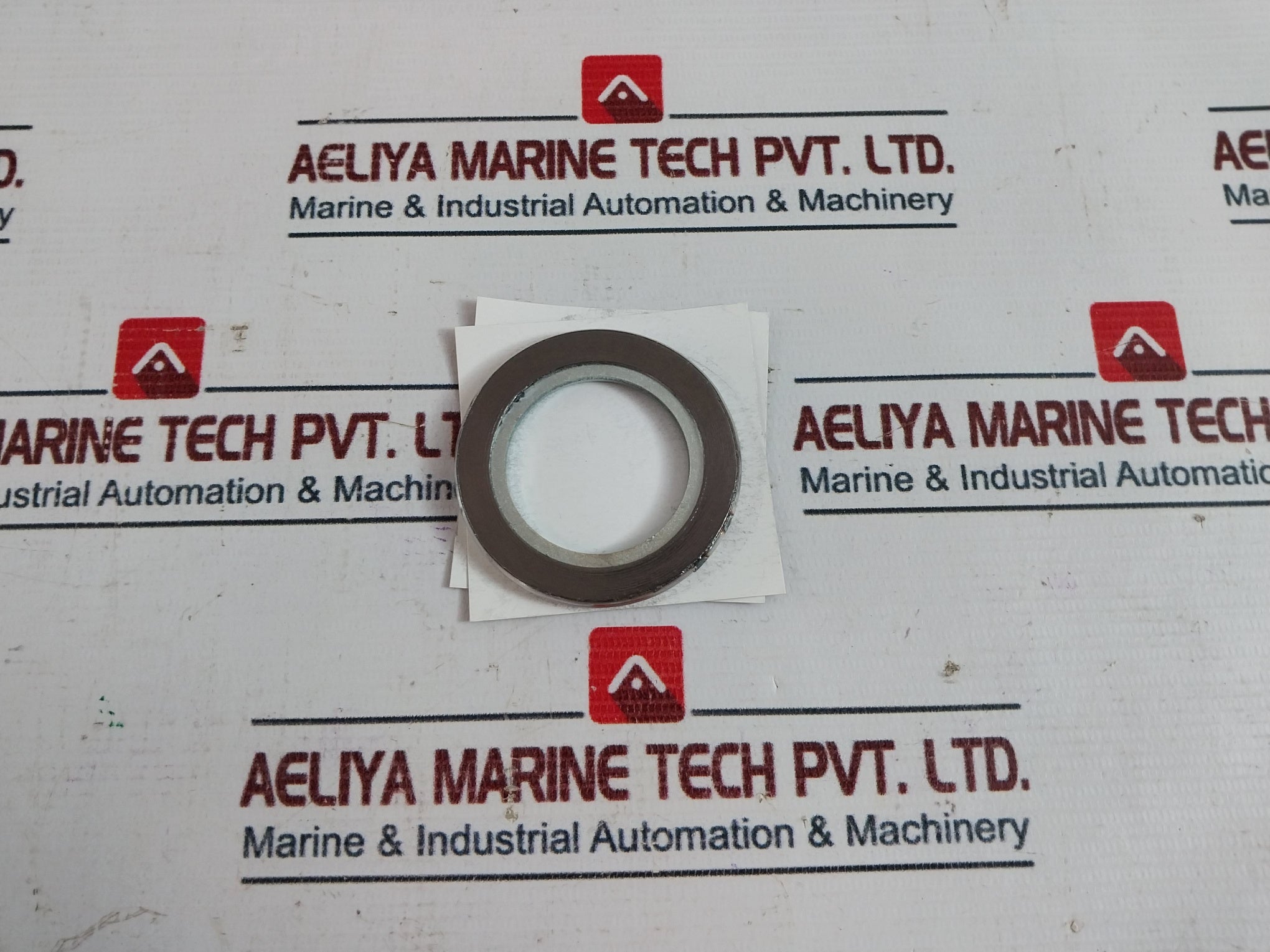 Nippon Pillar 2600Ir-es0-x163 Seal Packing Vg04A0250A