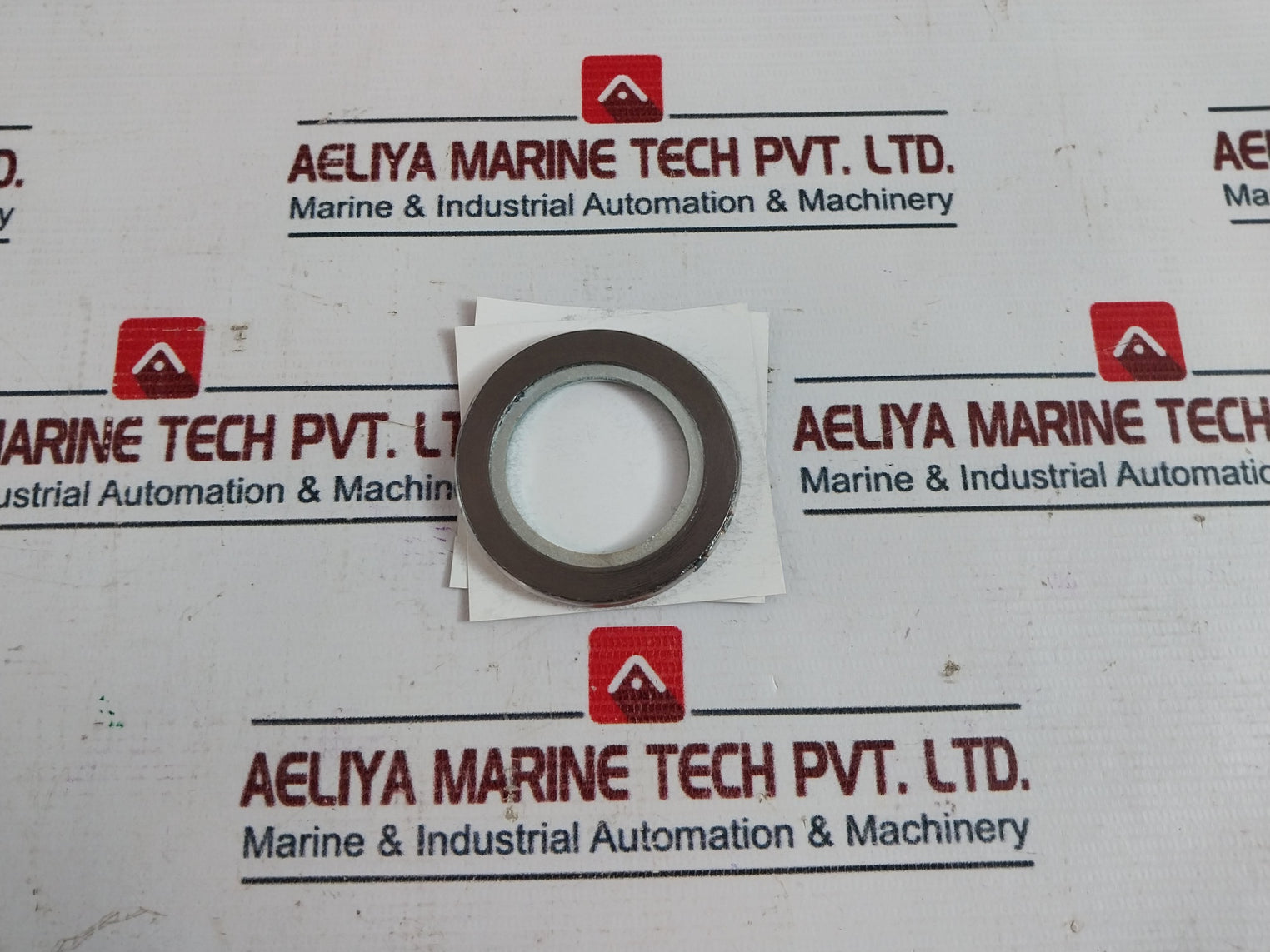 Nippon Pillar 2600Ir-es0-x163 Seal Packing Vg04A0250A