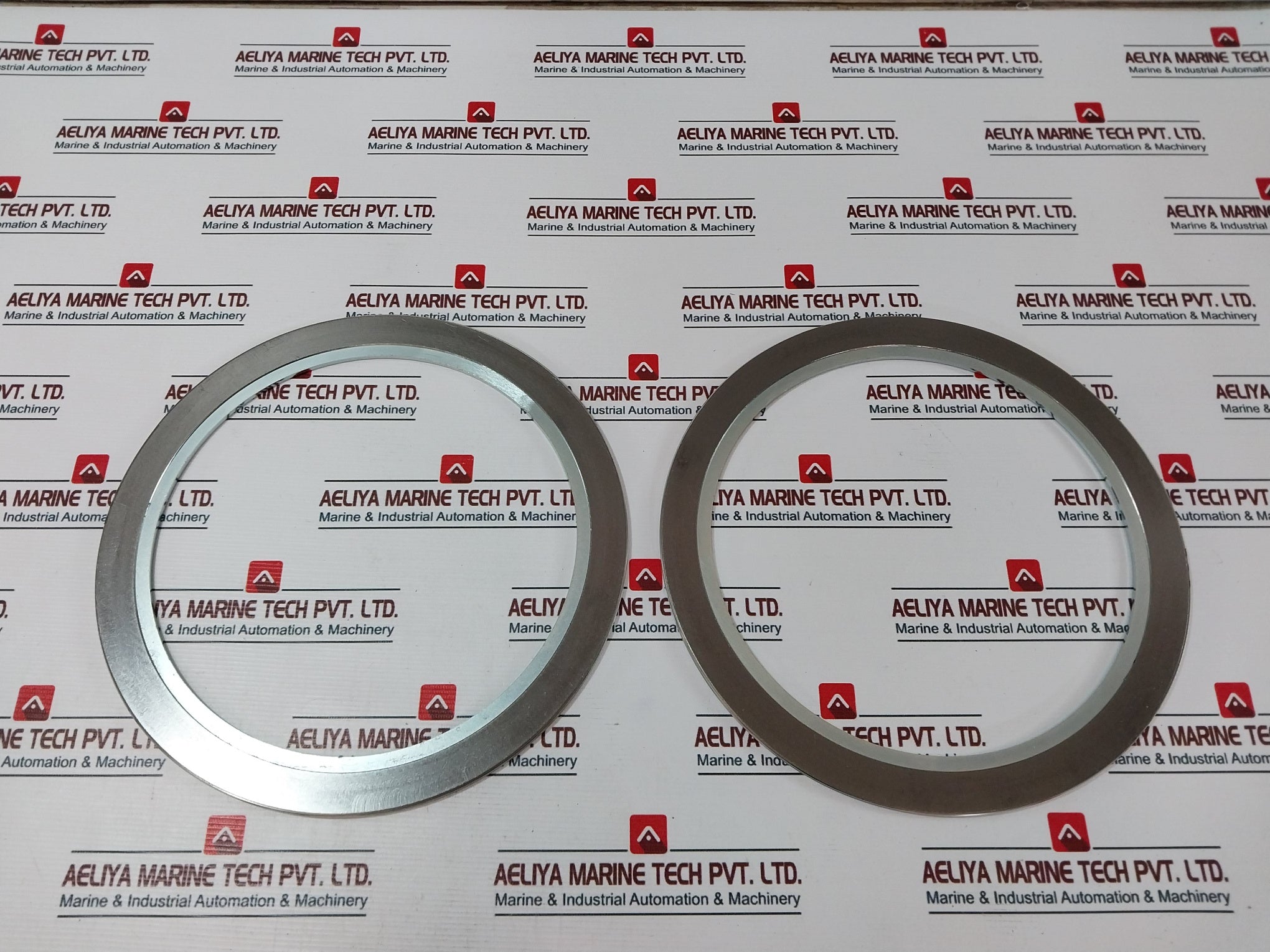 Nippon Pillar 2600Ir-eso-x163 Seal
