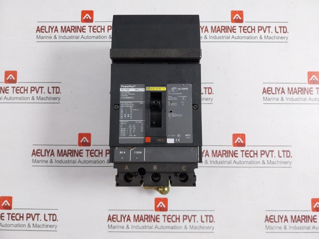 3-pole-Circuit-Breaker-50-60Hz-750V-Hja36080Ca-Square-D-209328-3