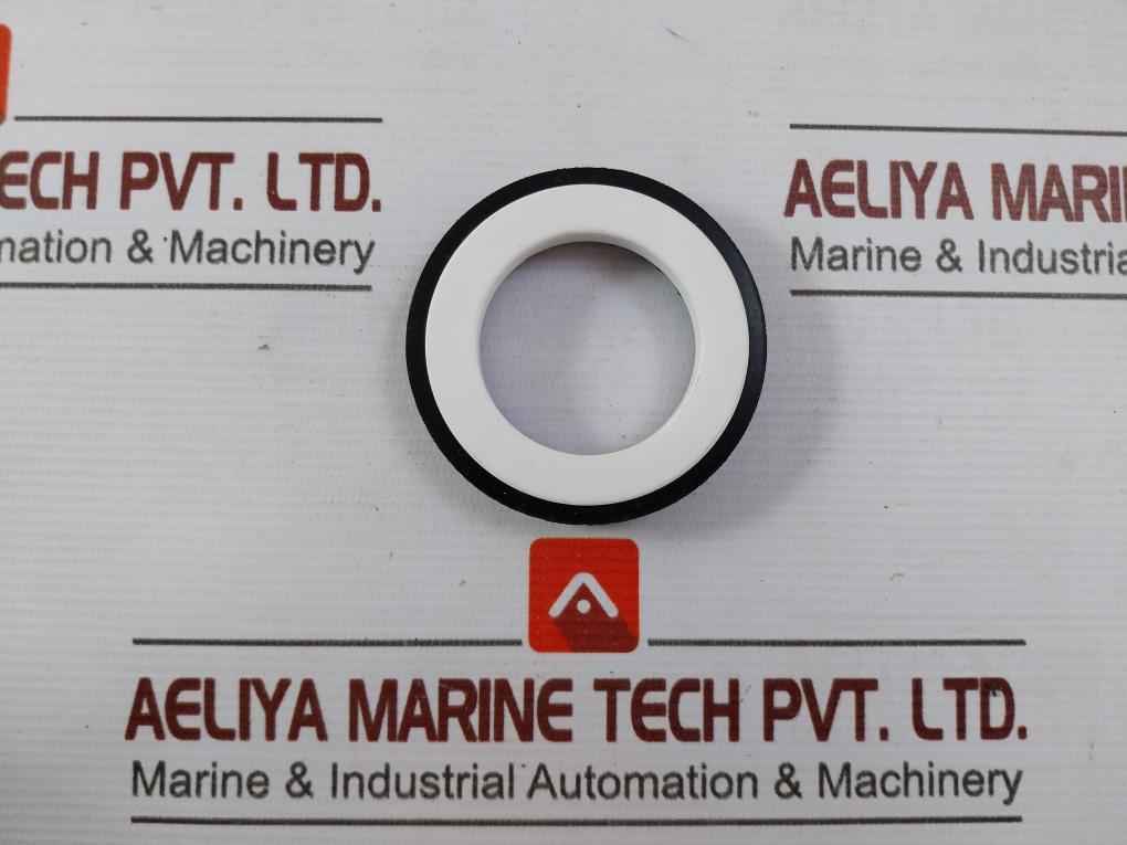 301-38 Mechanical Seal