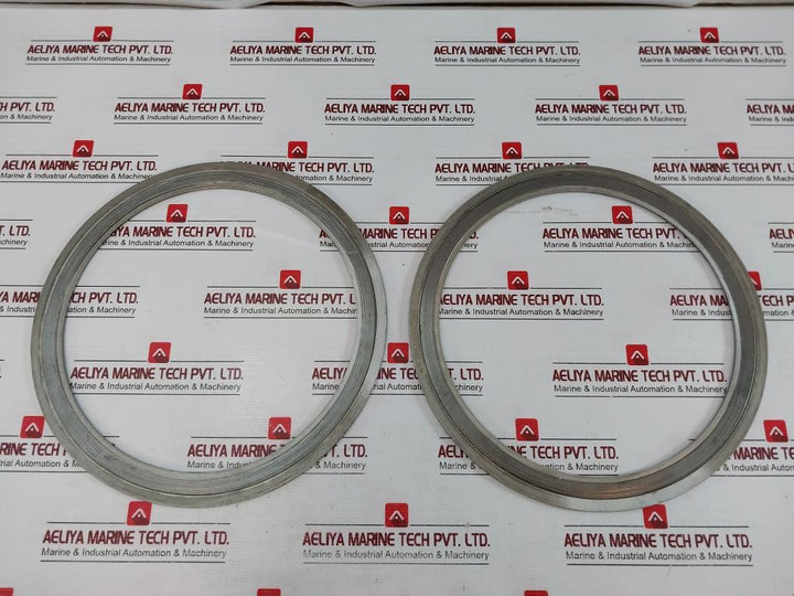 304/304/Fg/304 316L Spiral Wound Gasket Wj 5K 250A