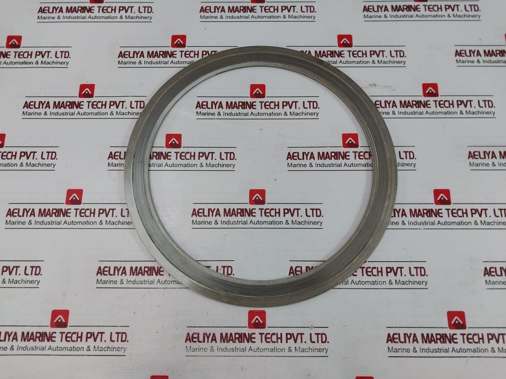 304/304/Fg/304 316L Spiral Wound Gasket Wj 5K 250A