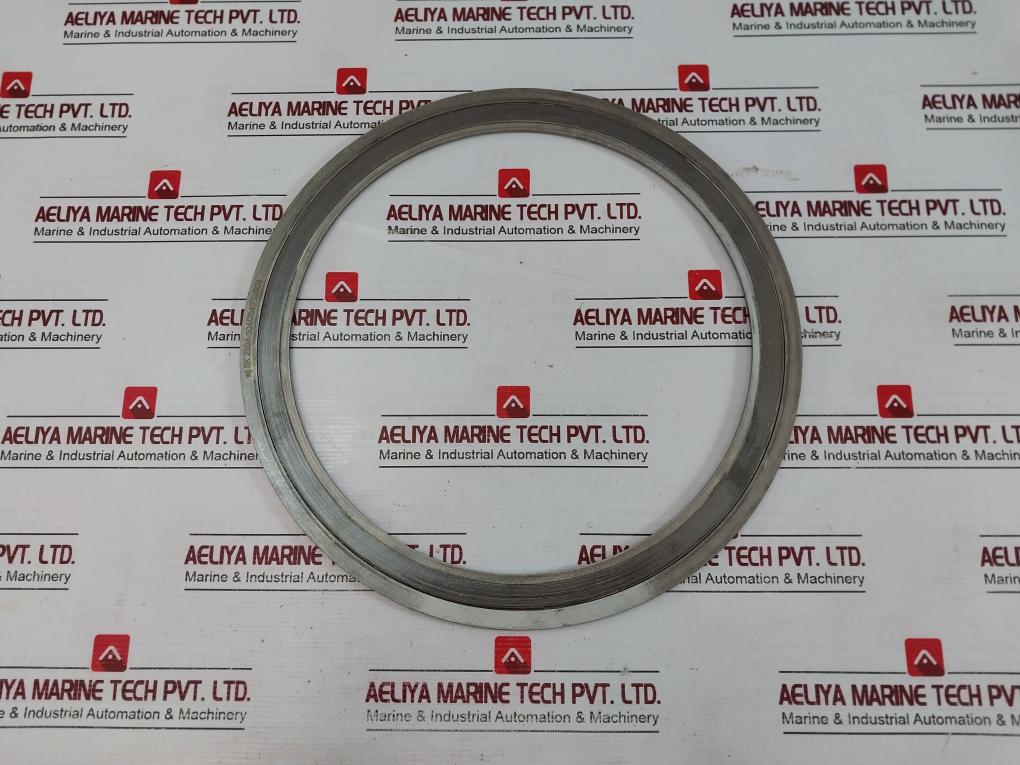 304/304/Fg/304 316L Spiral Wound Gasket Wj 5K 250A