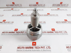 304 Spring Loaded Pressure Relief Valve