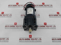 3110049 Rae Corporation Dc Electric Motor 24Dc/15 In.Lb