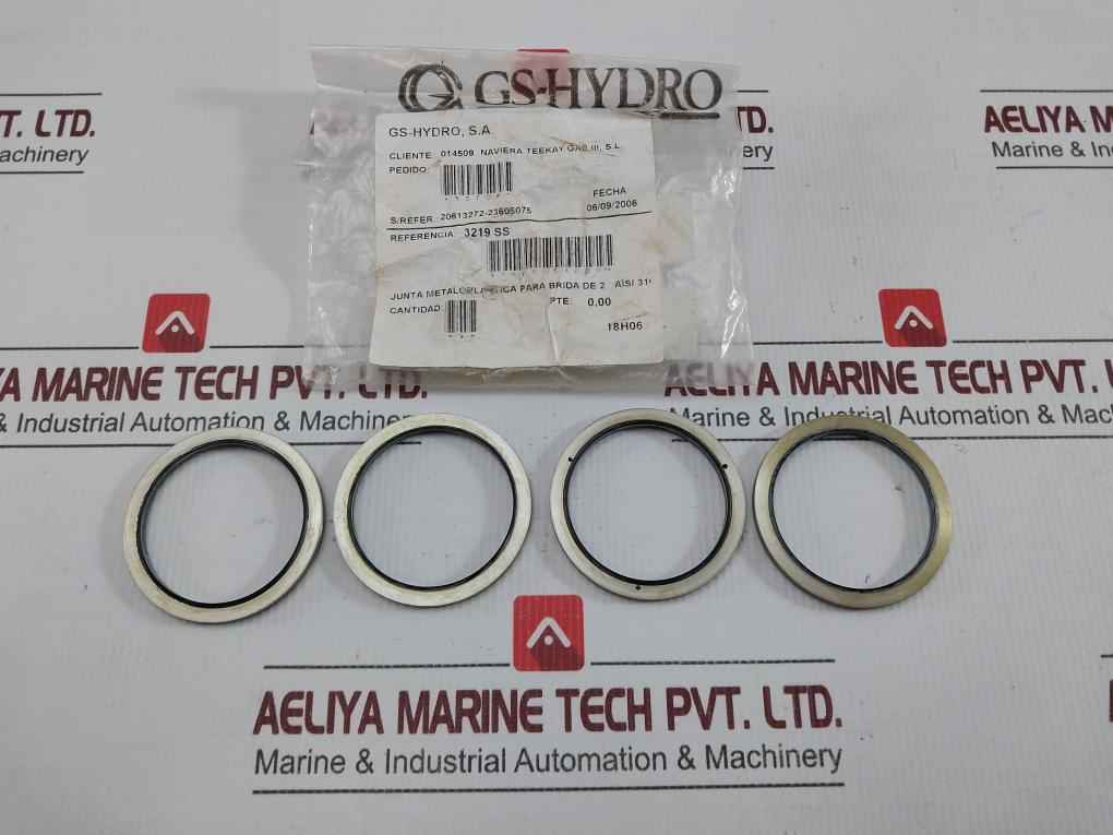 3219 Ss Bonded Seal Gs-hydro