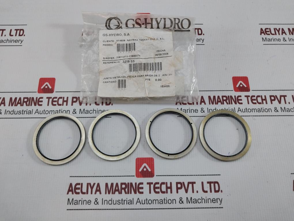 3219 Ss Bonded Seal Gs-hydro