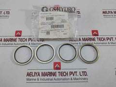 3219 Ss Bonded Seal Gs-hydro