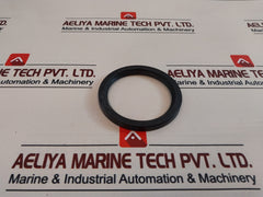 60 100 10 Seal Oil