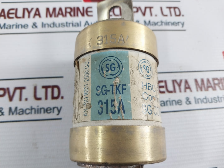 Sg Controls 315A Hbc Fuse Link 415Vac