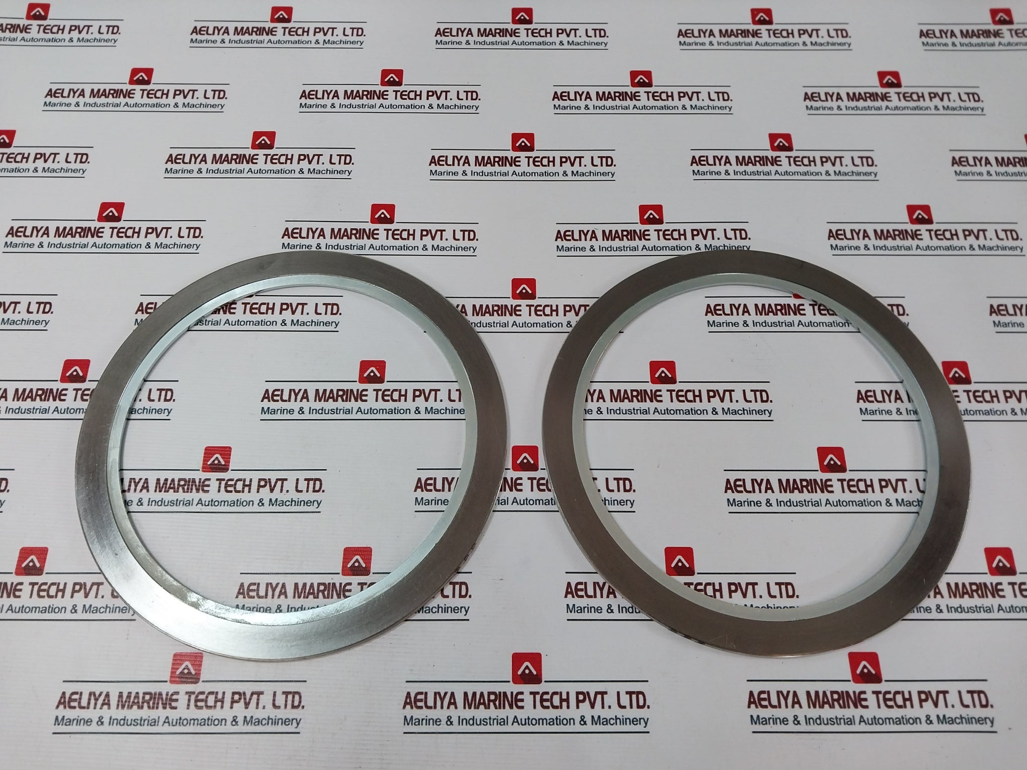 Nippon Pillar 2600Ir-eso-x163 Seal