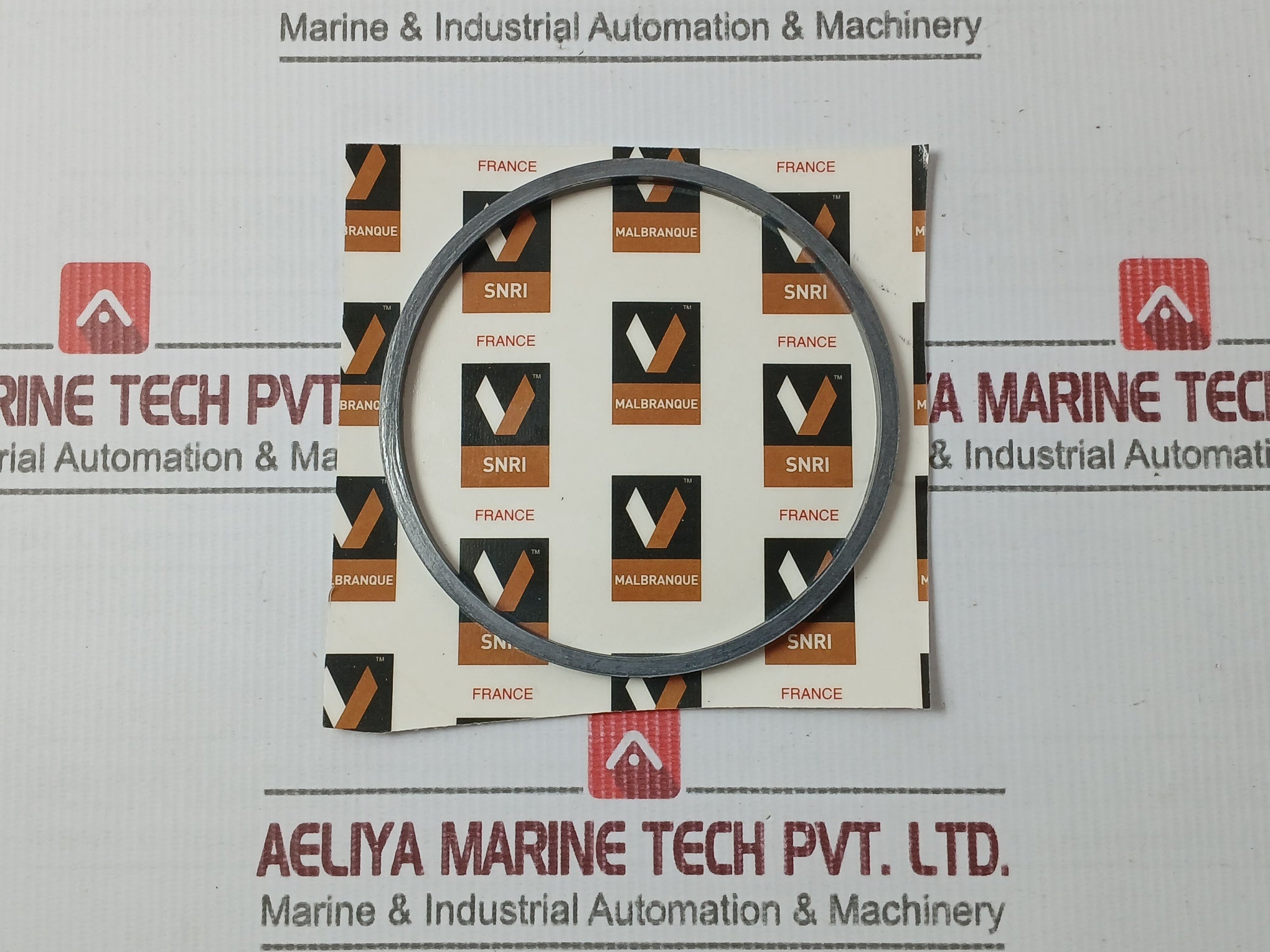 VALCO MALBRANQUE V/V CGB 000038 Body Bonnet Gasket