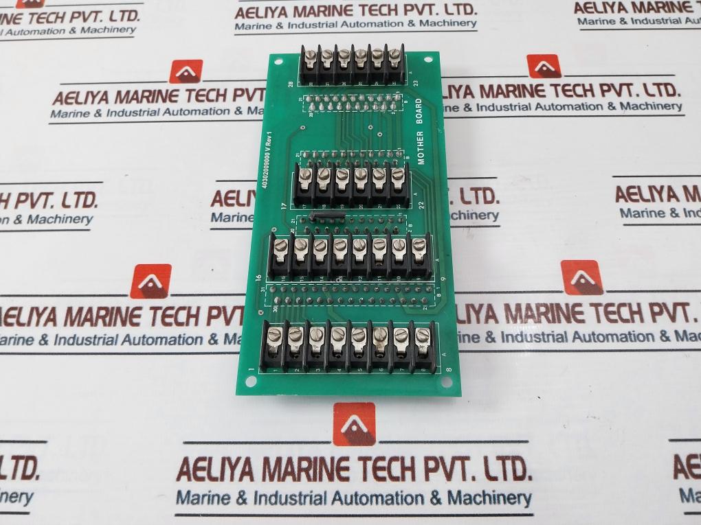 40302009000 V Rev 1 Mother Board