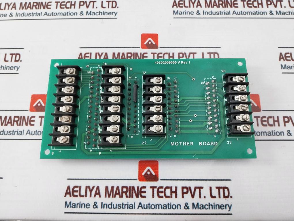 40302009000 V Rev 1 Mother Board