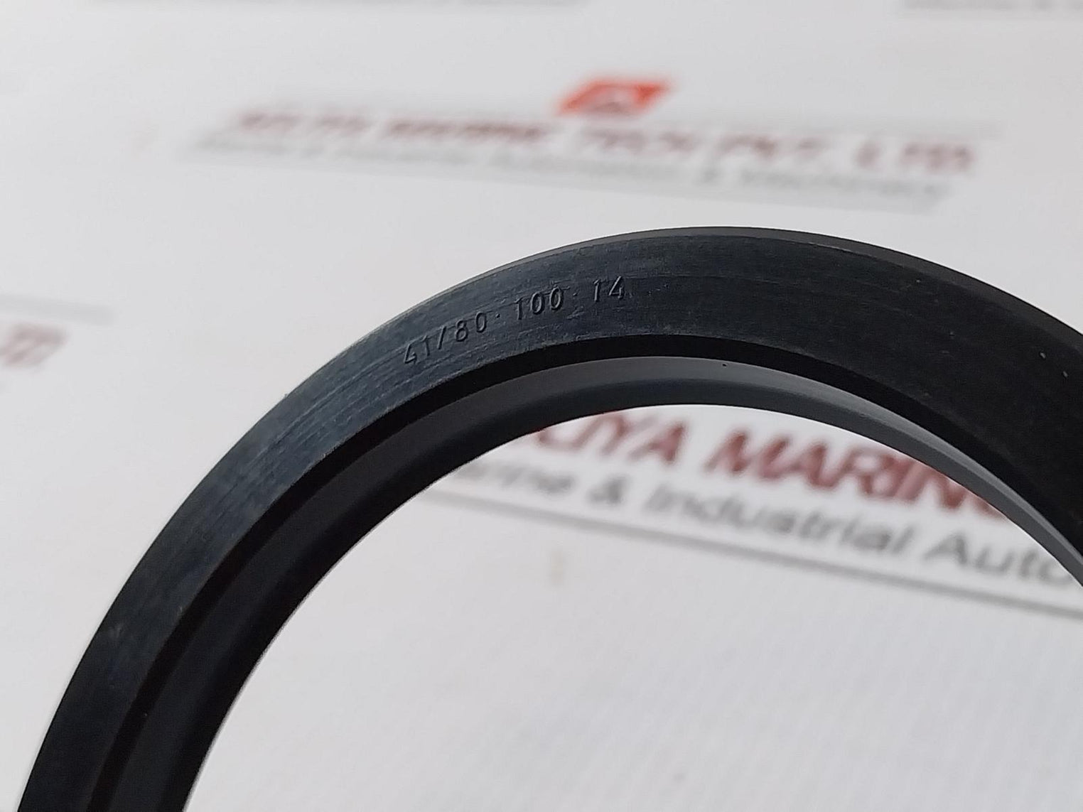 41/80-100-14 Pdf Rotary Shaft Seal