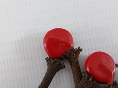 Lot Of 2X 420L 9736