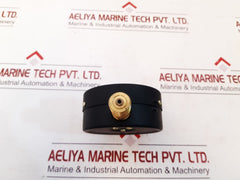 Fiztech mpz-uv pressure gauge