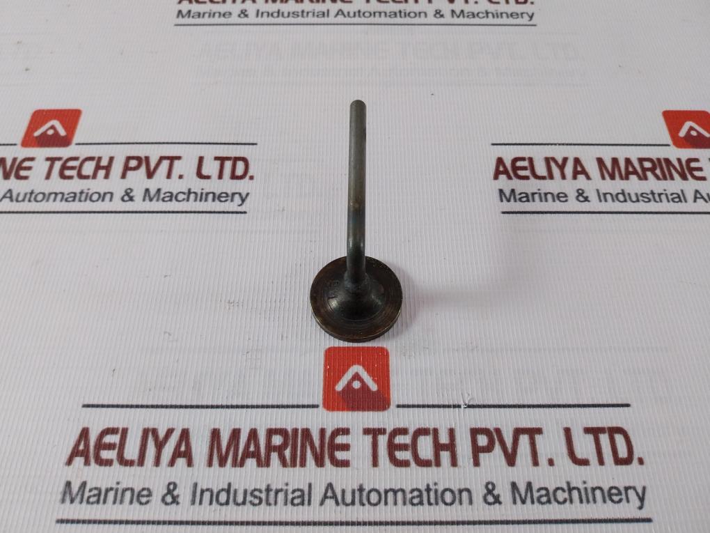 439-000.027 Plug for Boiler Tube