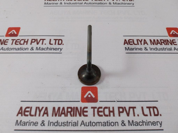 439-000.027 Plug for Boiler Tube