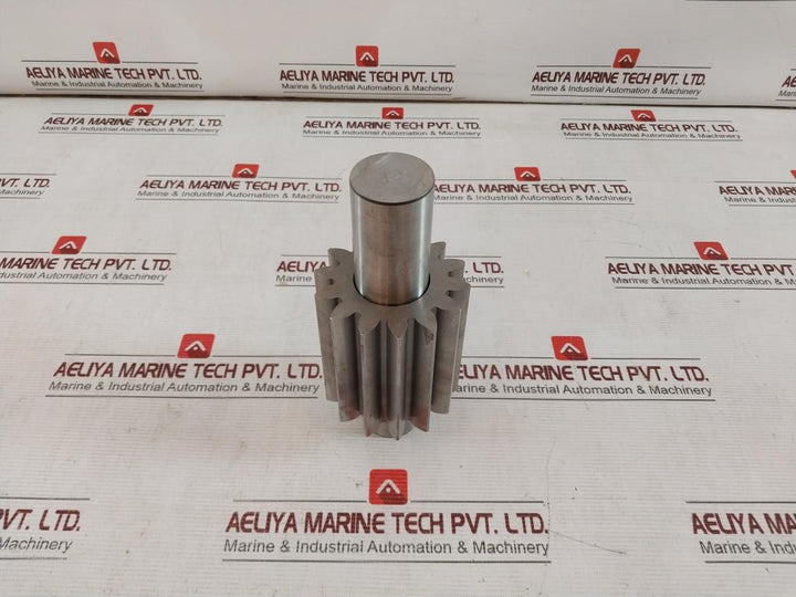 4466A Pump 205547 205544