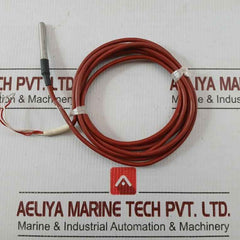 455-3968 Rs Rtd Sensor 2-meter