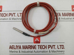 455-3968 Rs Rtd Sensor 2-meter
