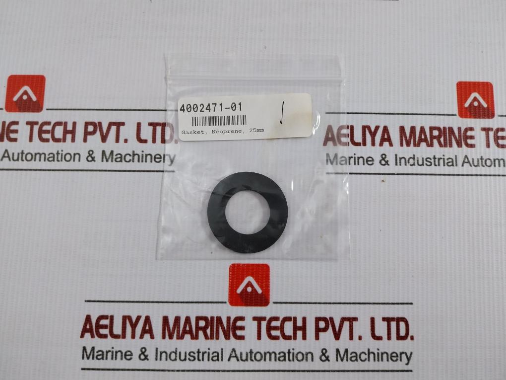 4901976-01 Elliott Gasket Kit 25Mm