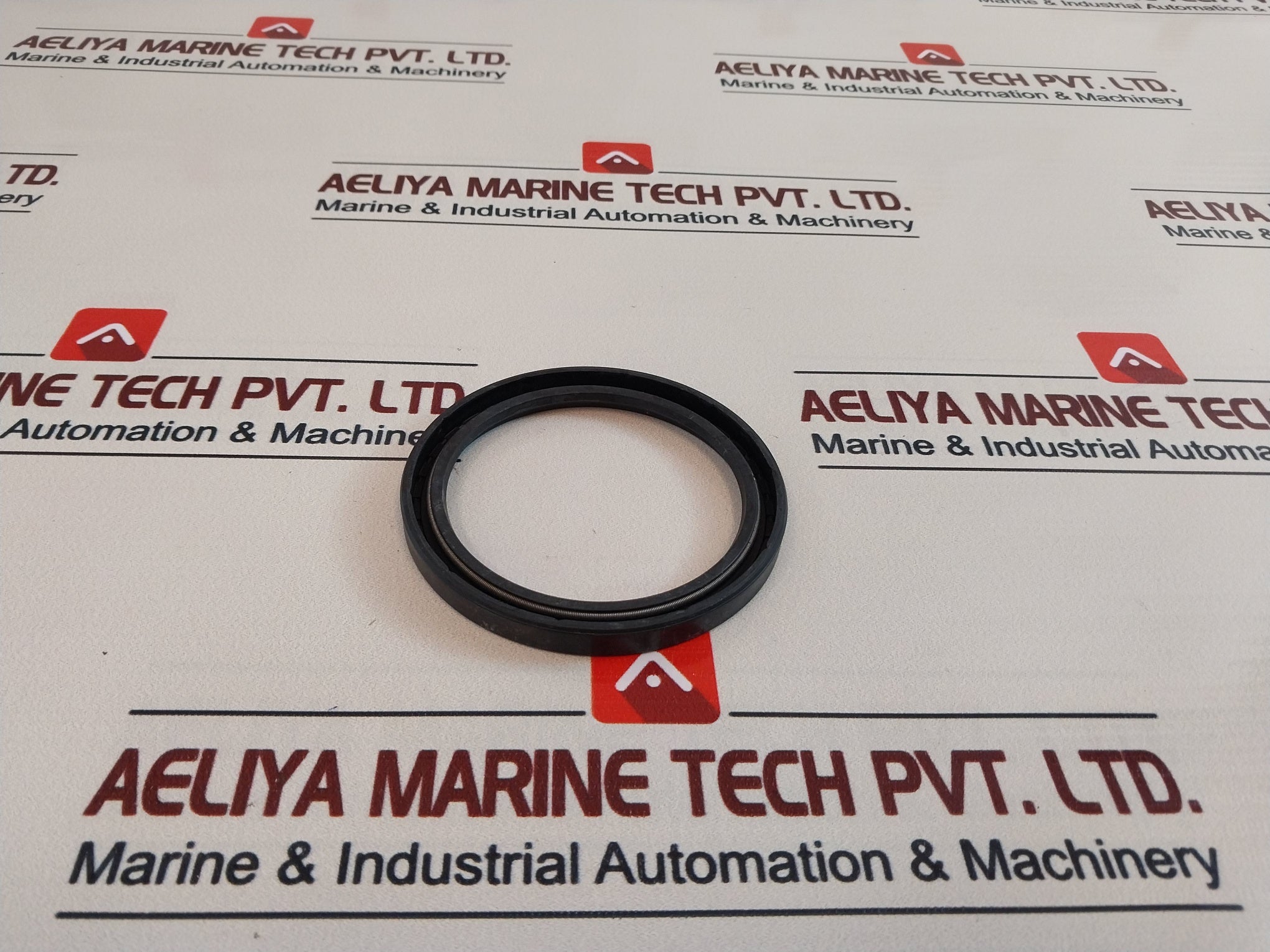 60 100 10 Seal Oil