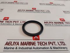 60 100 10 Seal Oil
